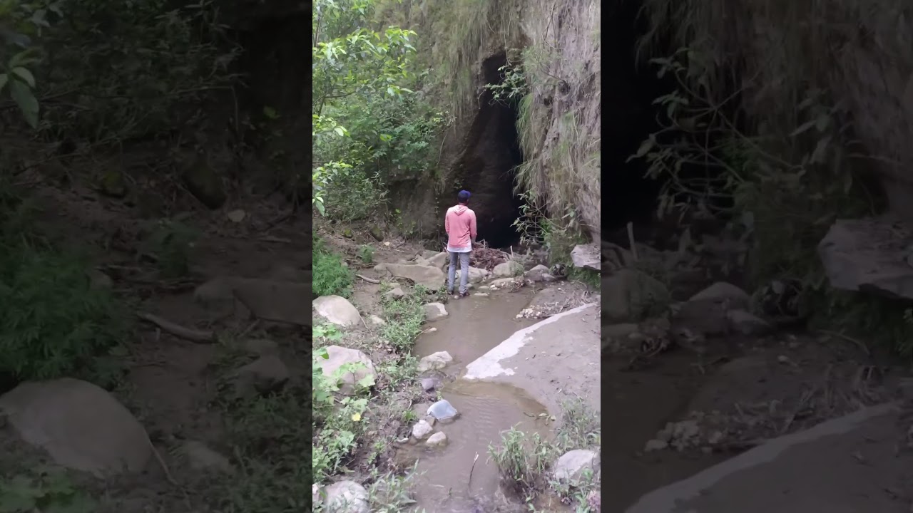 Thana Dam Explore 2023 💯 kukanet Biggest Forest of punjab 😱 #shorts #thanadam #kukanet