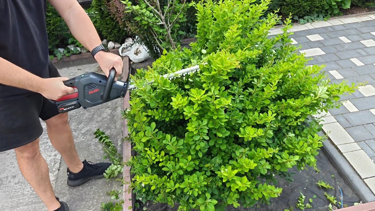 Акумуляторний кущоріз HT 1845 з серії AL-KO 18 В Bosch Home & Garden
