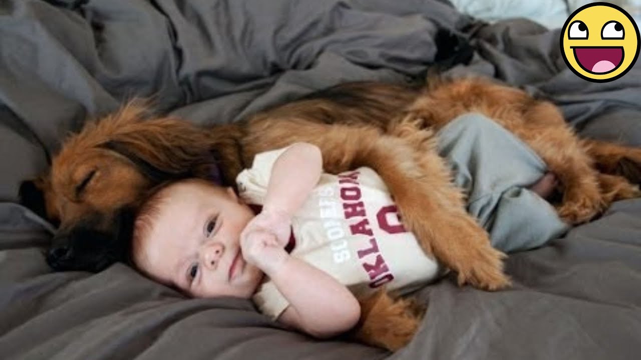 1 Hour of Babies and Dogs Creating Sweet Memories Together 🐕👶💞