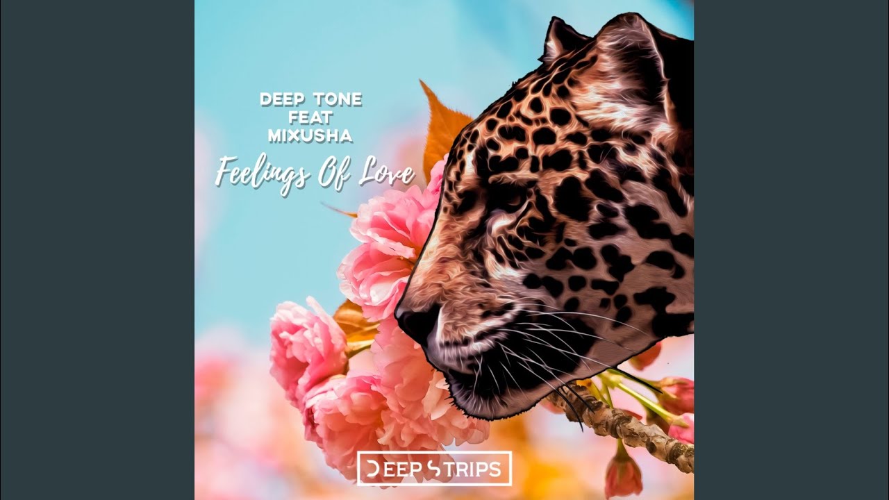 Feelings of Love (Original Mix)