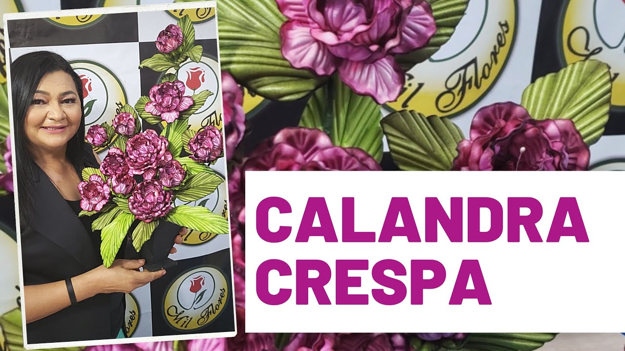 ARRANJO COM A CALANDRA CRESPA
