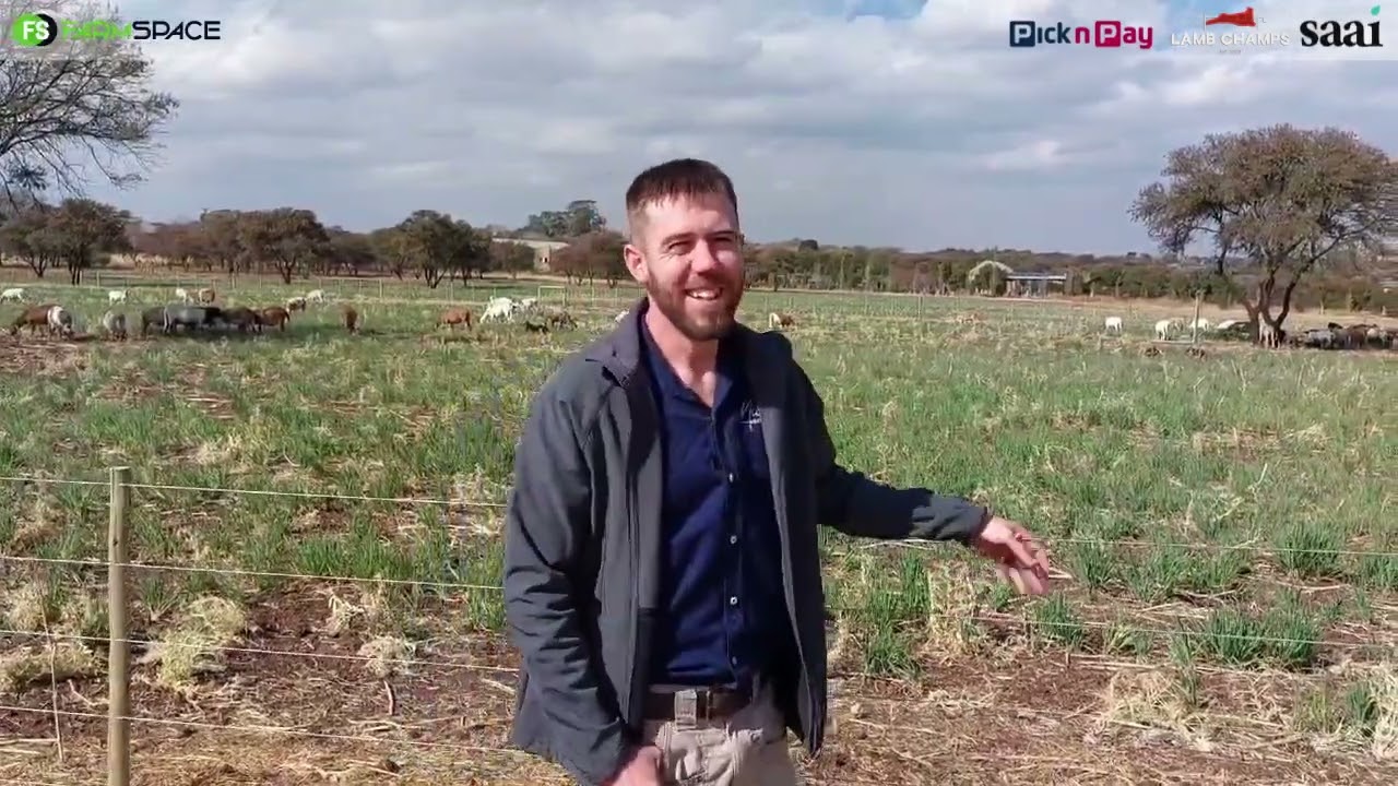 Wessel van Nu Vino Meatmasters het 'n meatmaster in geskryf vir Lamb Champs.
