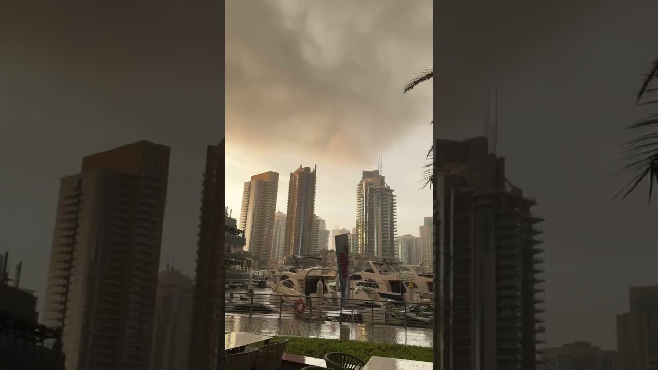 Rainy morning ⛈️🌦 