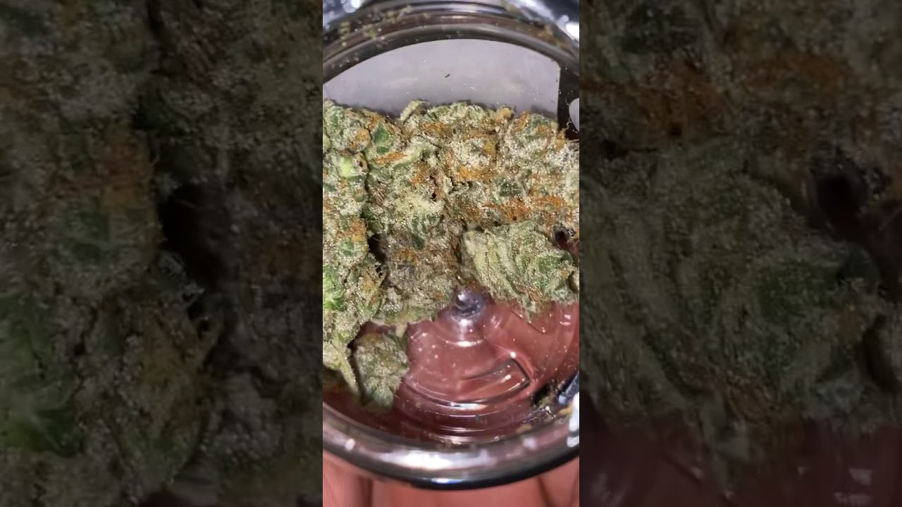 New Jersey Medical Marijuana! GMO Cookies Lab Tested at 36.68% THC
