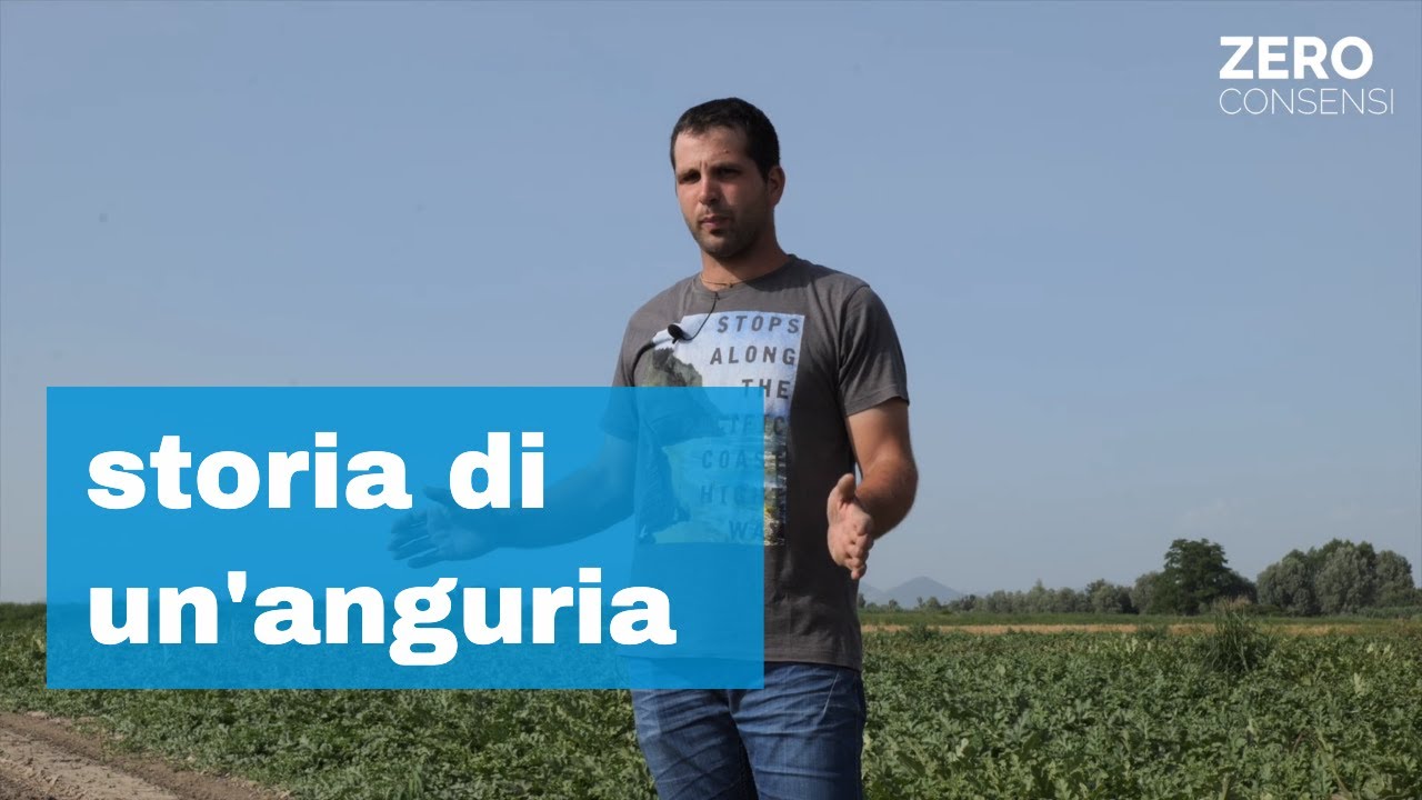 La nascita di un'anguria, ecco la sua storia