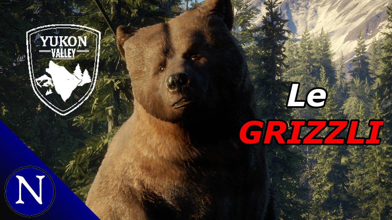 The Hunter COTW: Prédateurs de Yukon : le Grizzli