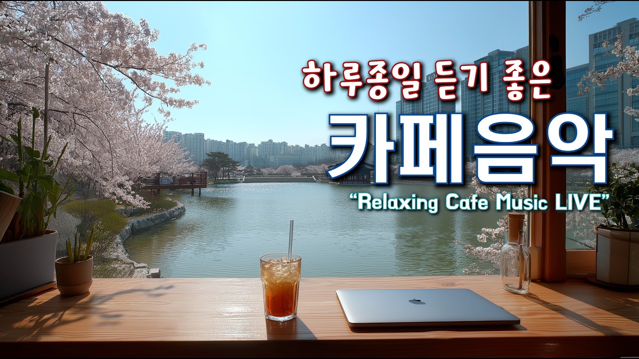 기분 좋은 카페 음악과 하루를 함께 하세요 ☕일할때 듣기 좋은 음악 🎧아침에 듣기 좋은 음악 | Relaxing Cafe Music Playlist 260303