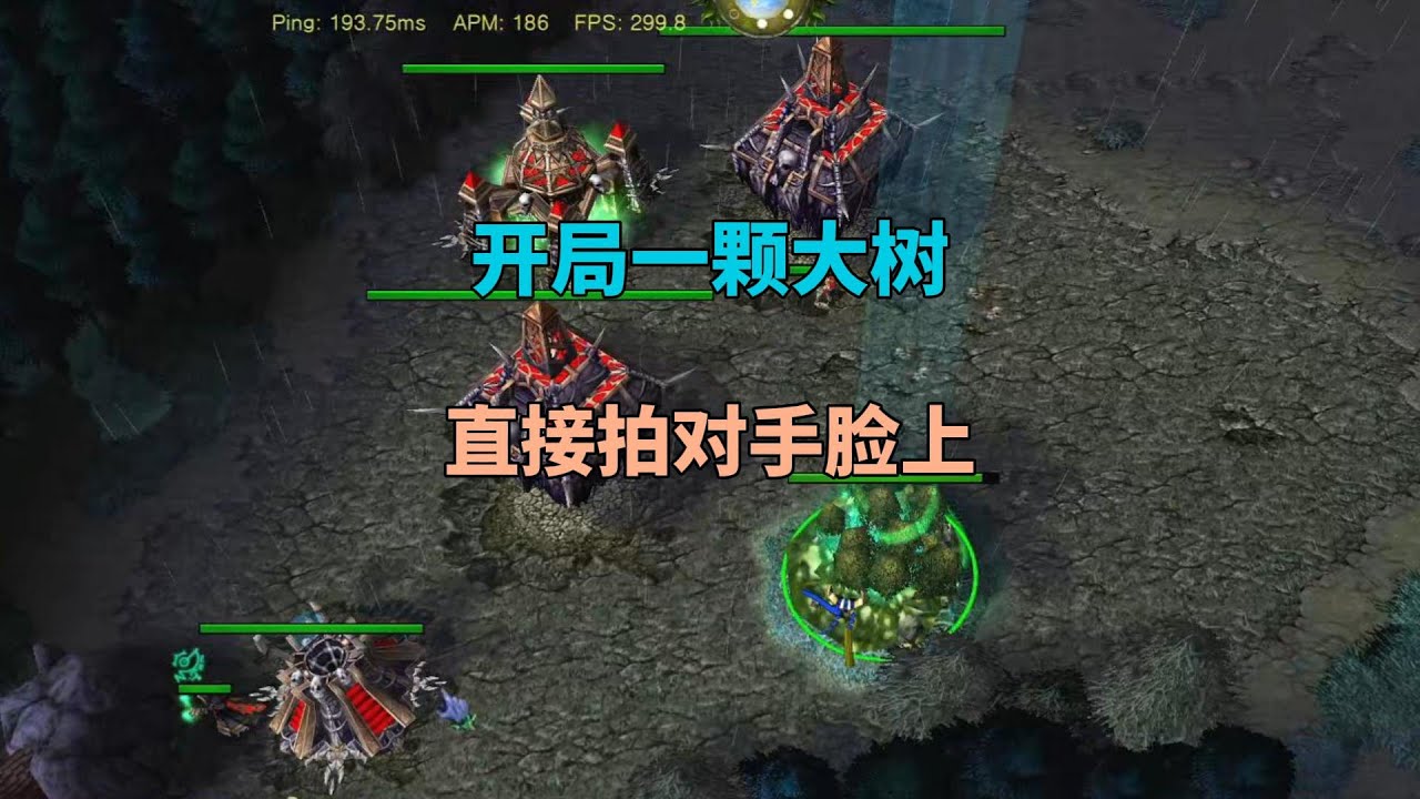 开局一颗大树拍对手脸上，对手：你想干啥？魔兽争霸3