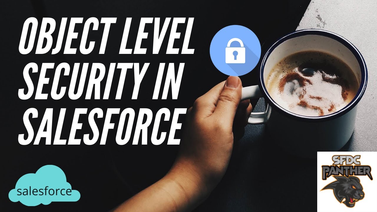 Object Level Security || Secure your salesforce data #Salesforce #SfdcPanther #AskPanther