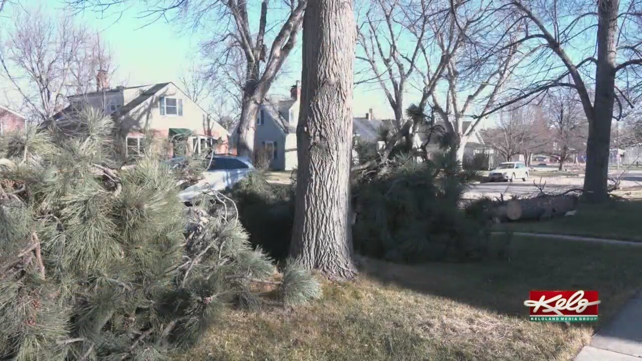 В четверг Южная Дакота готовится к сильным ветрам.