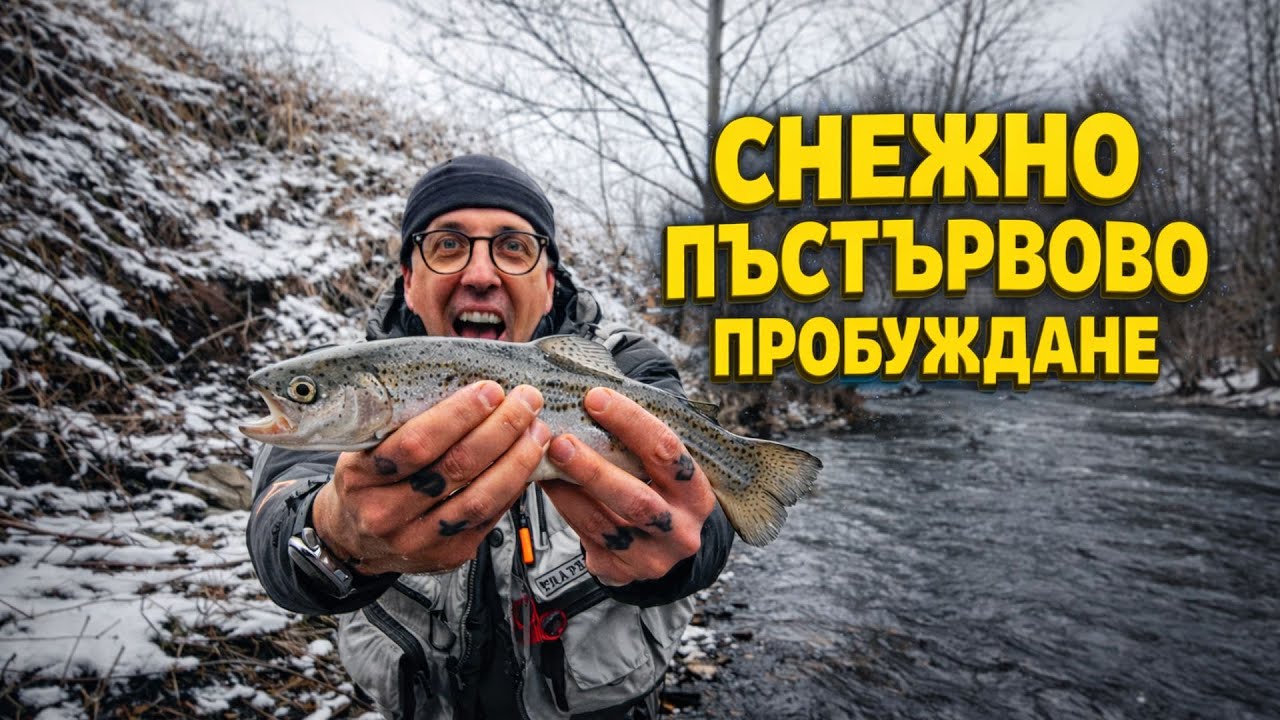 СНЕЖНО ПЪСТЪРВОВО ПРОБУЖДАНЕ