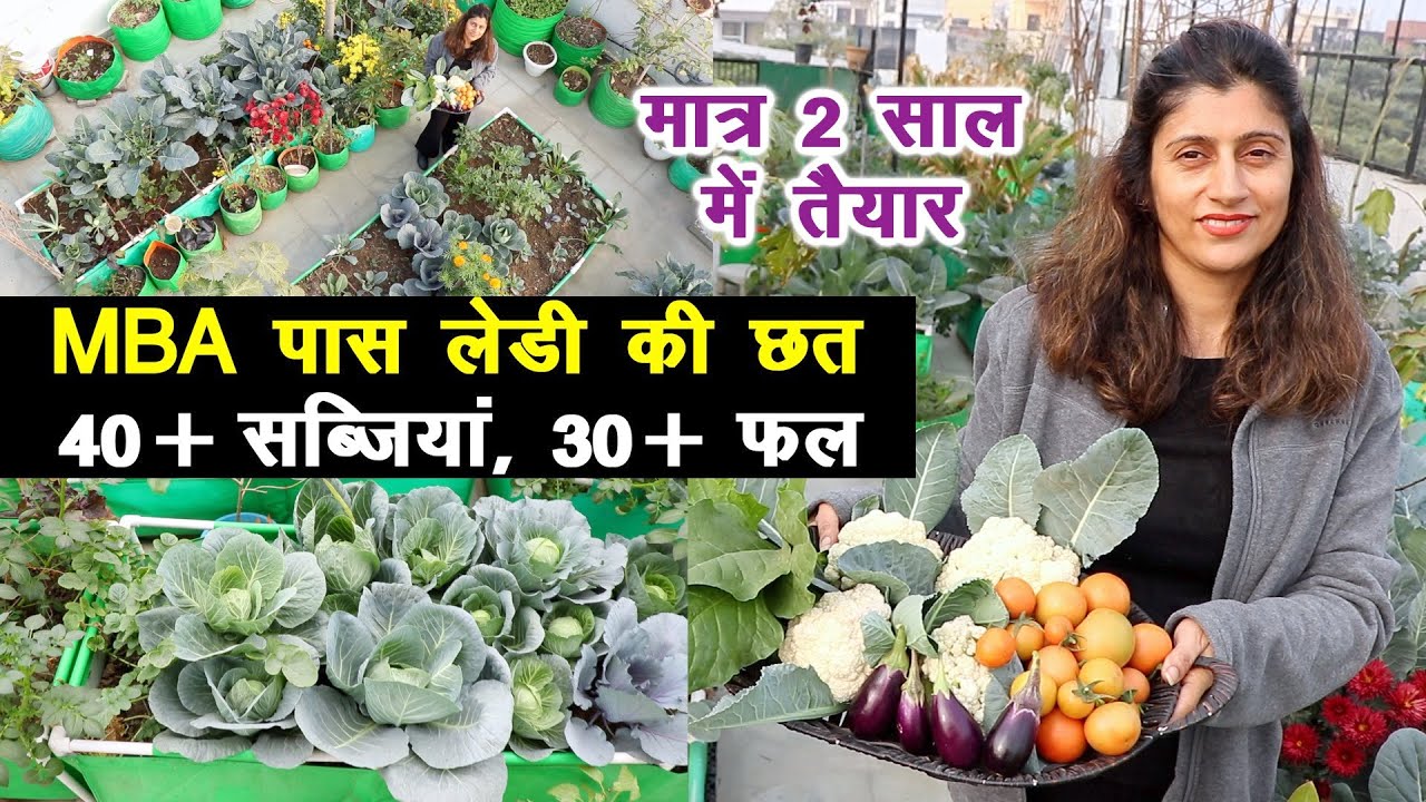 MBA पास लेडी का कमाल 😍 छत पर उगाईं 40 सब्जियां और 30 से ज्यादा फल 🥦 Organic Kitchen Garden