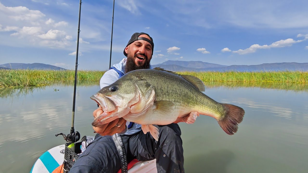Pescando las Lobinas MÁS GORDAS del MUNDO!!! 