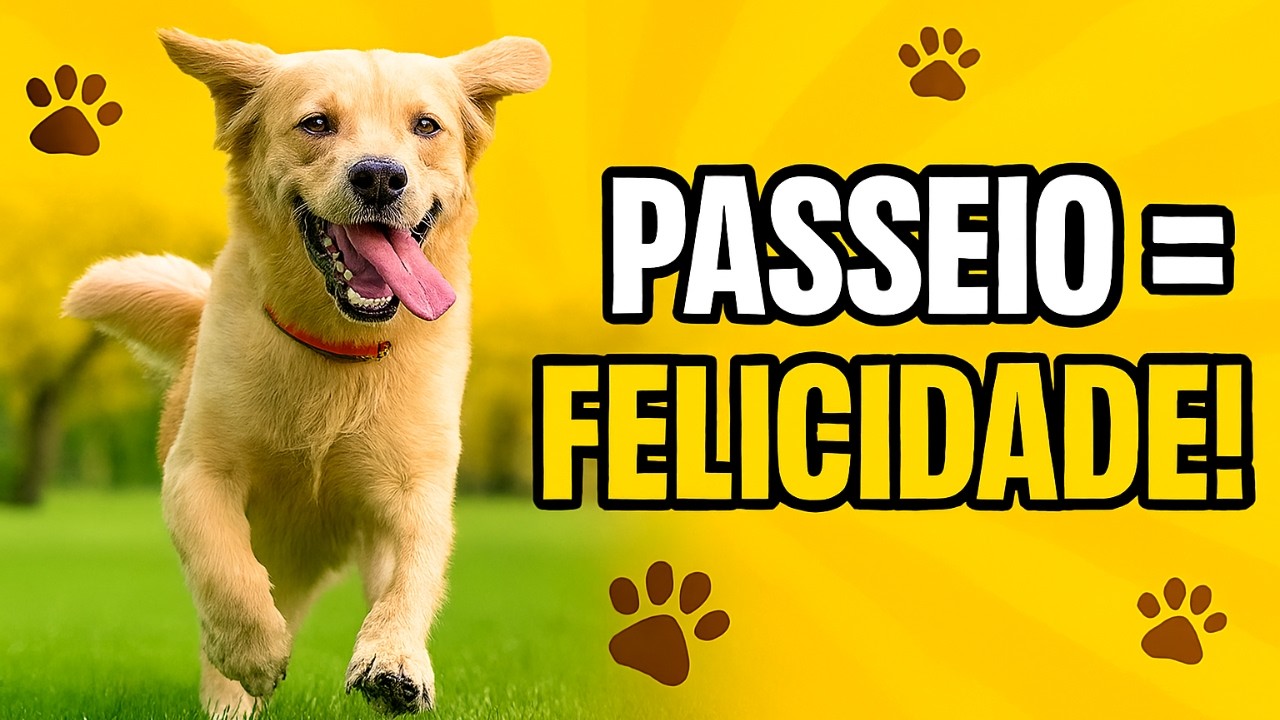 Por Que o Passeio é Tão Importante para o Cão?