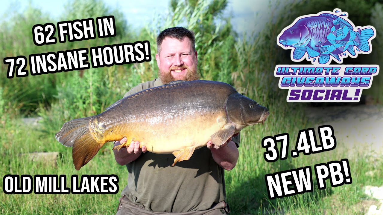 OLD MILL LAKES // Oak Lake Social 2023 // Carp Fishing