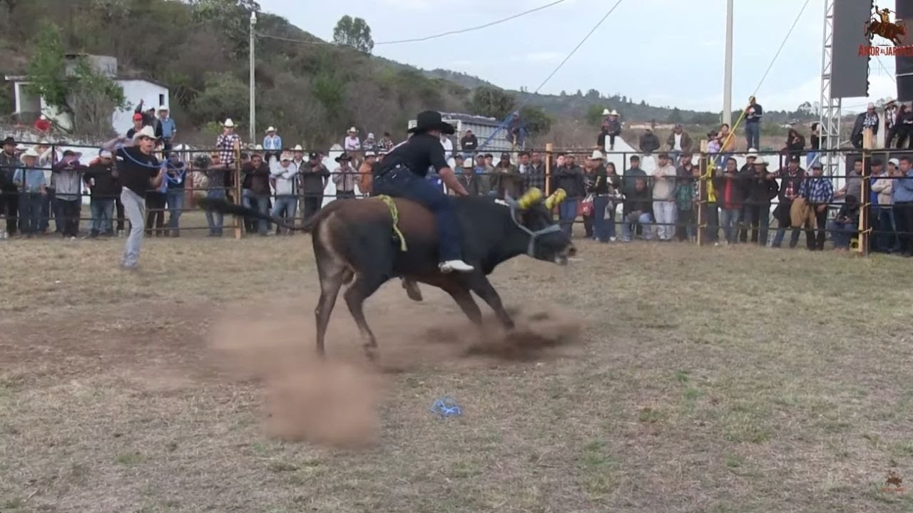 La Palma vs Ángeles del infierno Primer día de Jaripeo - Napizaro Michoacán - 13 De Enero Del 2026