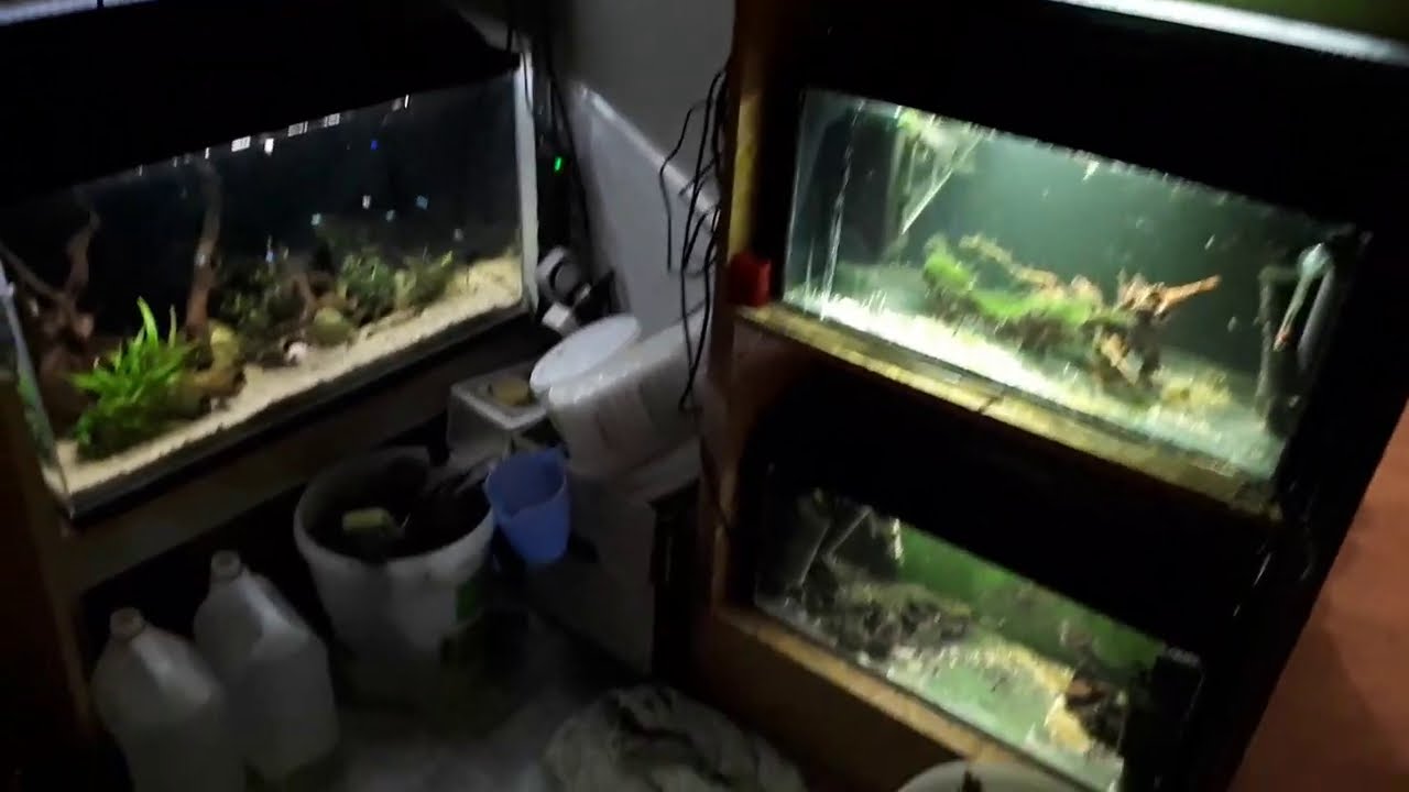 Nowe regały na akwaria w fishroomie #142. AkwaGadka