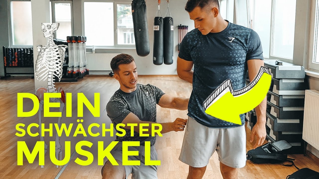Der schwächste Muskel in deinem Körper | & wie er Rückenschmerzen verursacht | Tim Gabel
