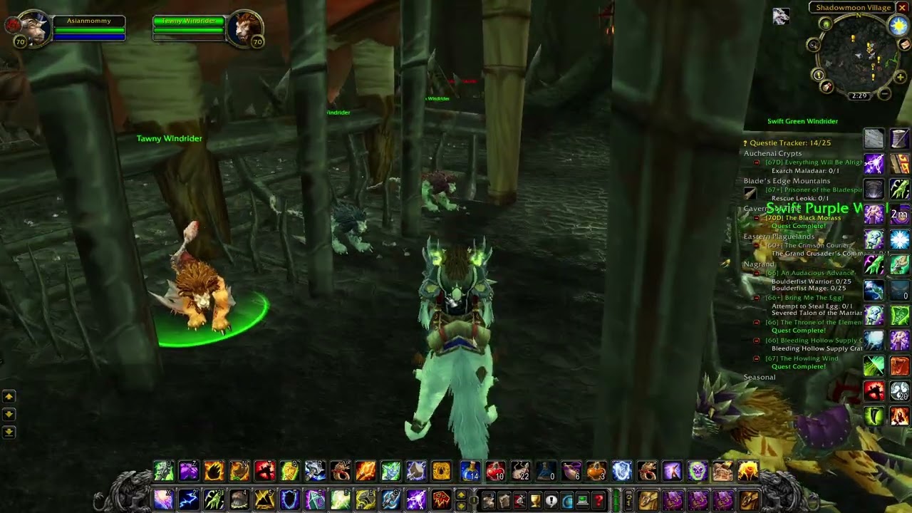 Expert Flying Mount in TBC Classic WOW