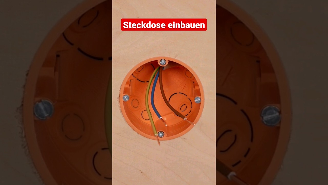 Steckdose einbauen #shorts #steckdose #elektronik