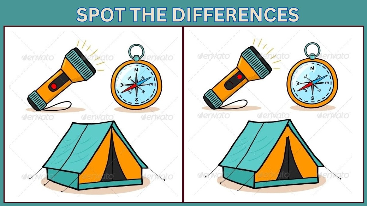 Spot the 3 Differences | 10 Brain Teasers to Test Your IQ