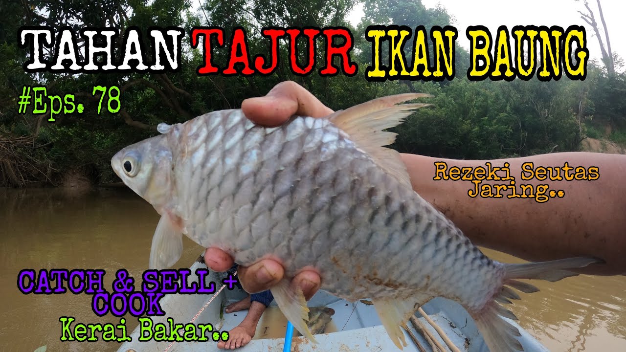 Tahan Tajur | Sambil Menjaring | Rezeki Kerai