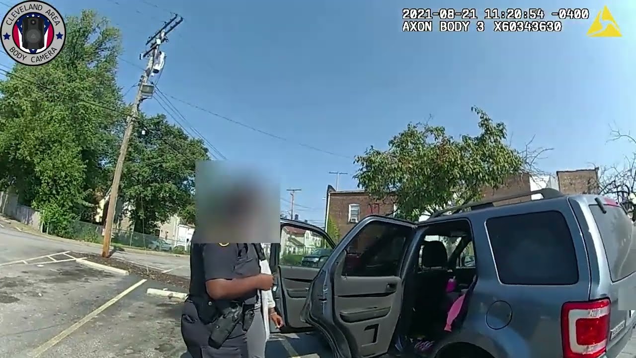 Mother Arrested After Leaving 2 Children In Hot Car