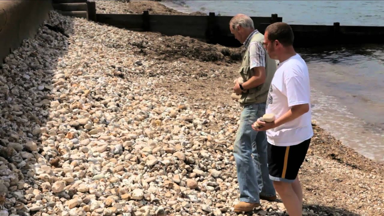 Simon's Wight: Isle of Wight Fossil Hunting Pt 1