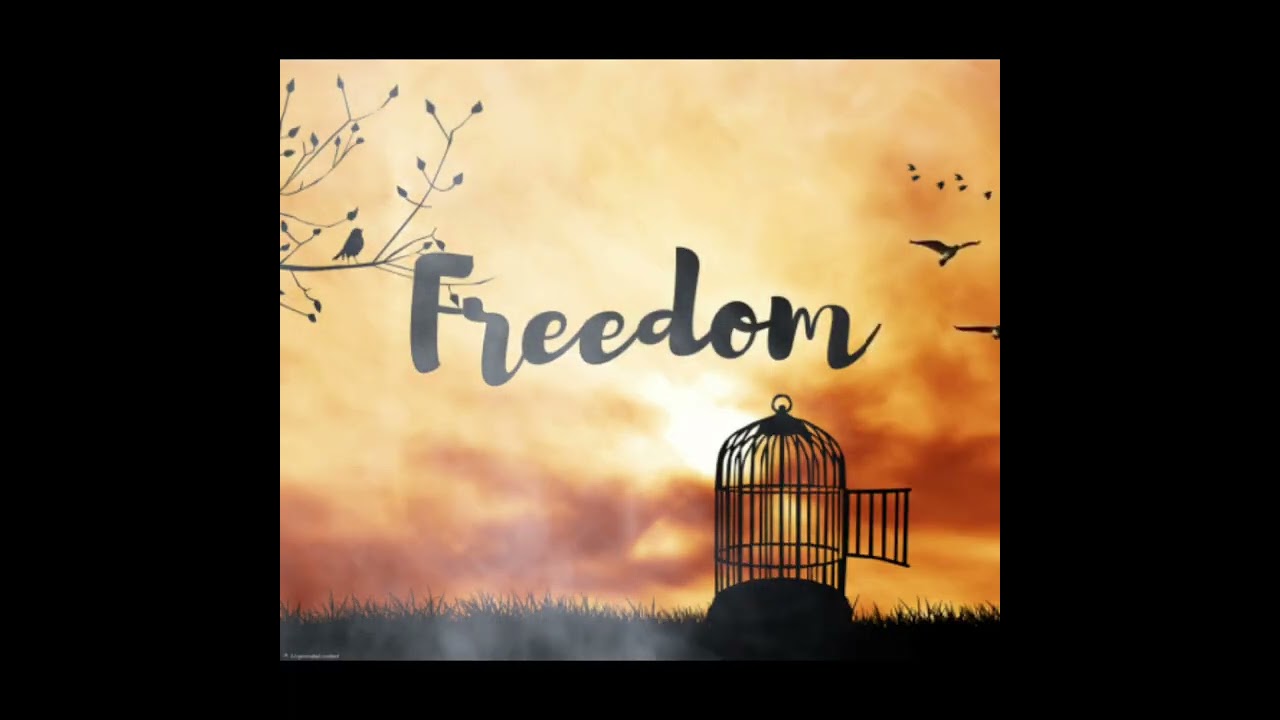 Freedom in Christ 