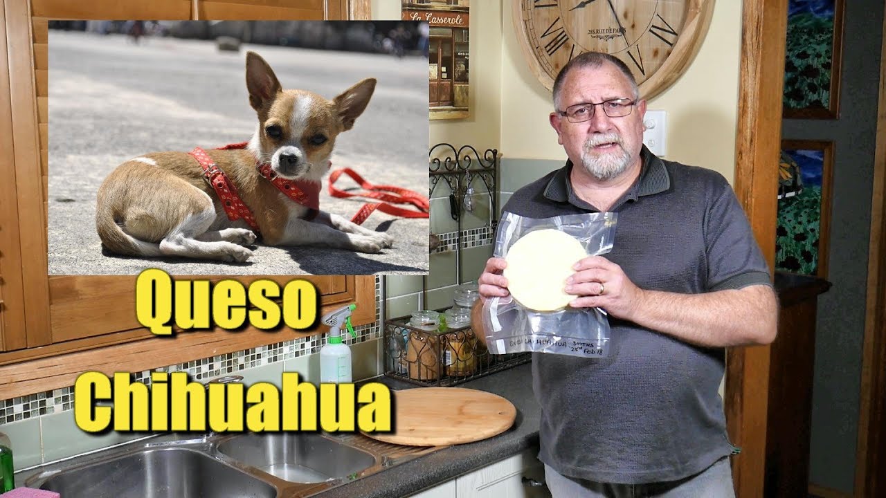 How to make Queso Chihuahua - Woof! 🧀