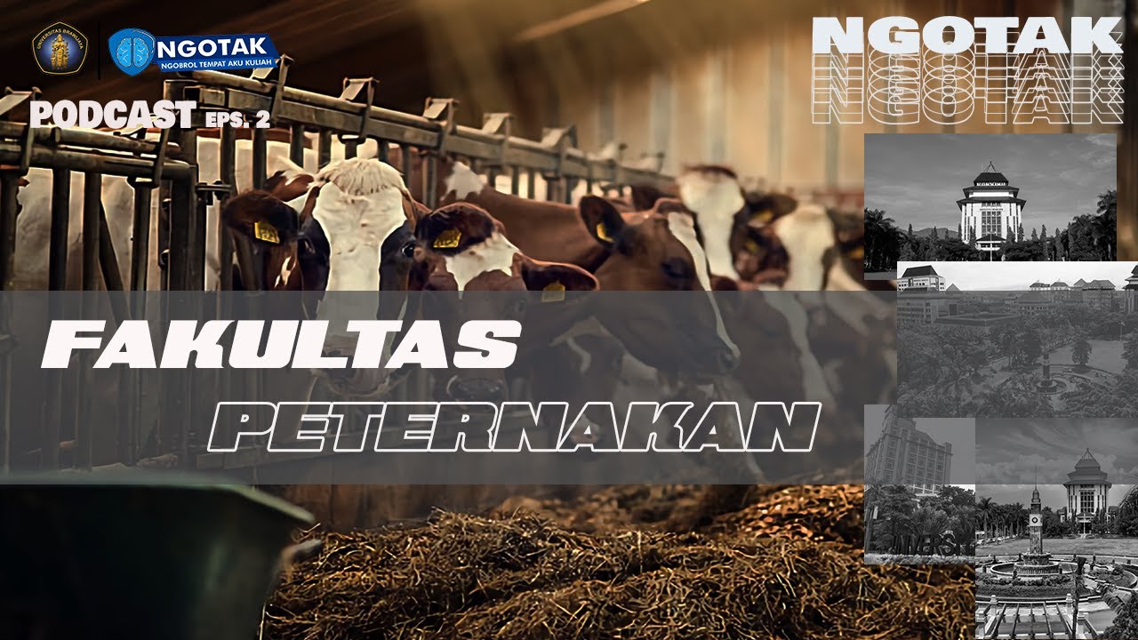 #EPS02 PODCAST NGOTAK : Ada Apa di FAPET - UB