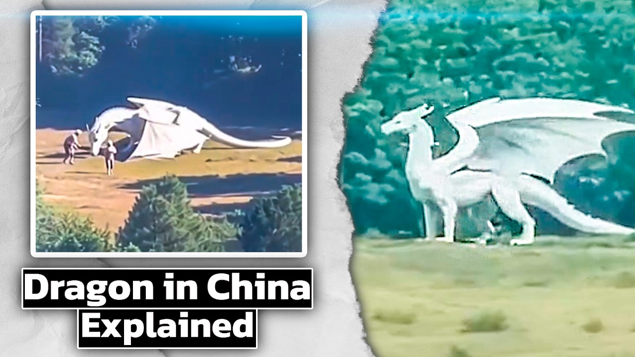 White Dragon in China. Why Do People Believe This?