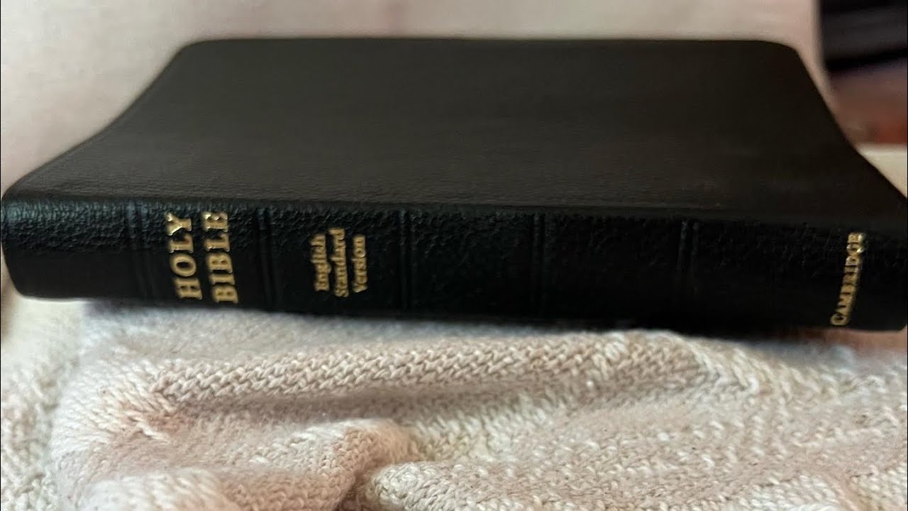 ESV Pitt Minion by Cambridge Bibles.
