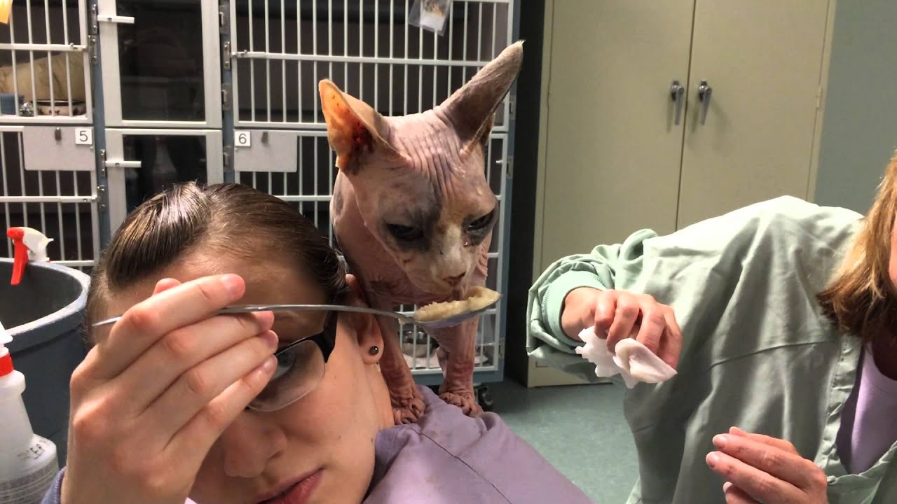 Frankie gets cleaned up