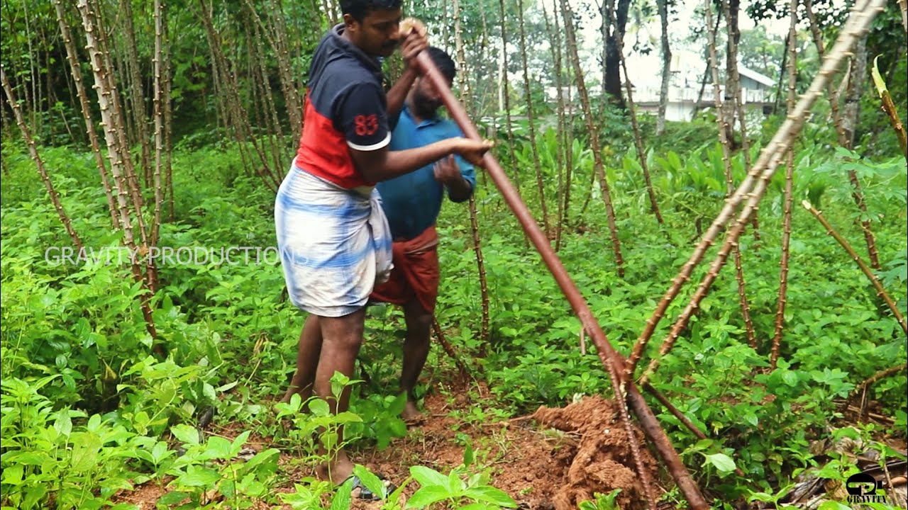 Tapioca Harvesting Tool For Easy Harvest/Cassava Harvester