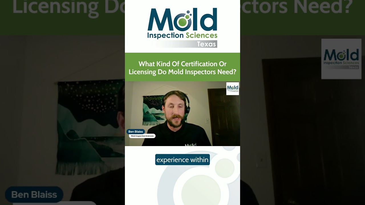 What kind of certification or licensing do mold inspectors need?