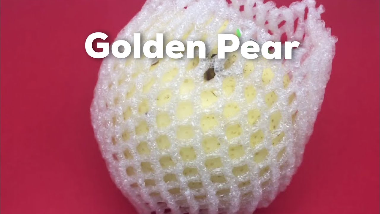Golden Pear Asmr