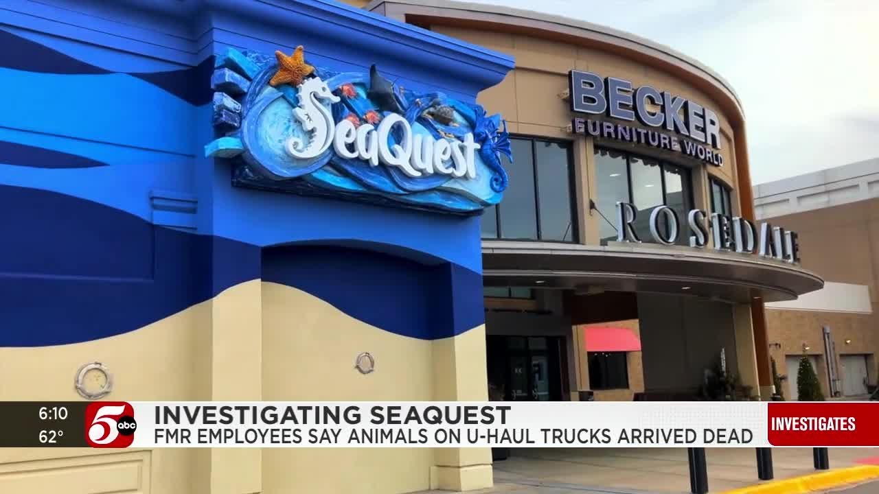 Dead on arrival: Video shows SeaQuest knew risks before shipping animals to Minnesota