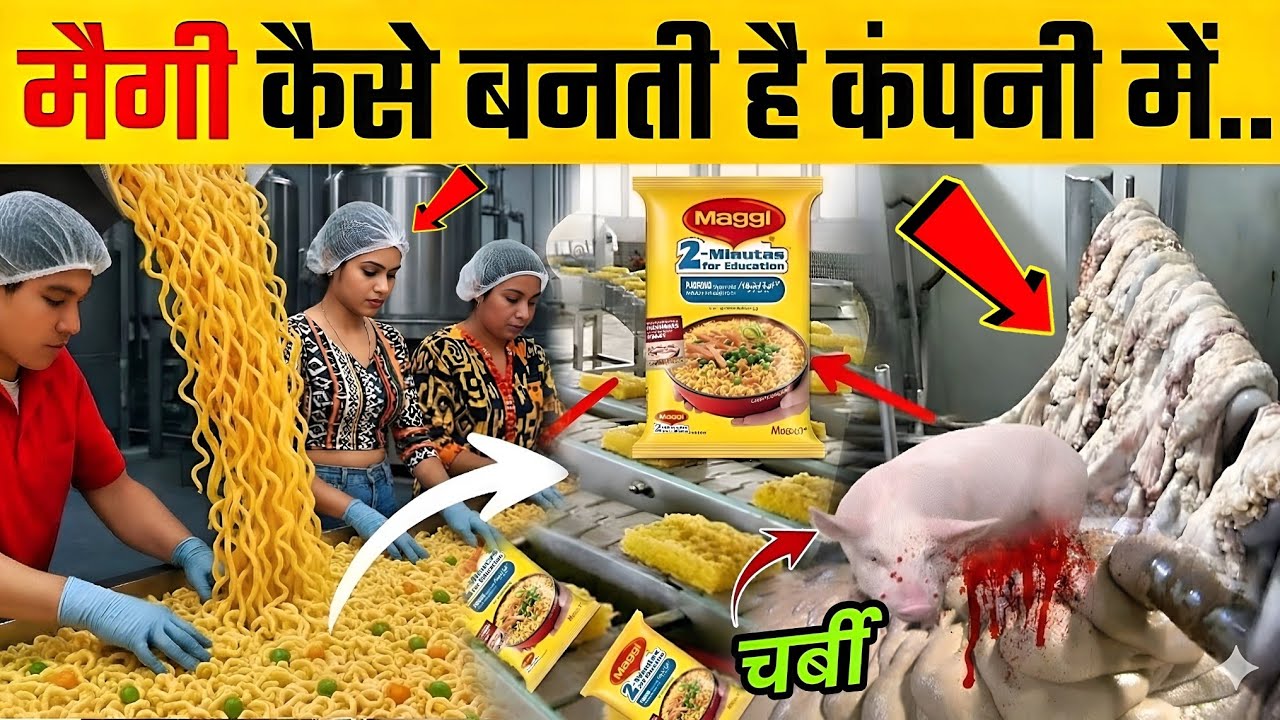 फैक्ट्री में मैगी कैसे बनाई जाती है ? | How Maggi Made In Factory | Maggi Video