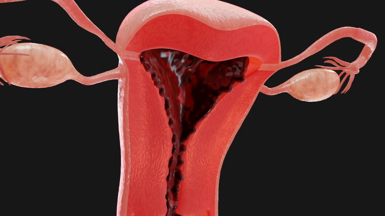Der Menstruationszyklus | Animation