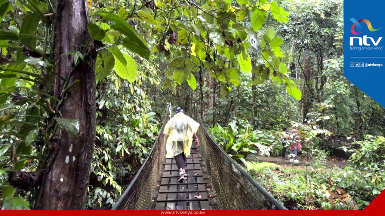 Twende Borneo Island: How to have a good time in Malaysia despite the intense monsoon
