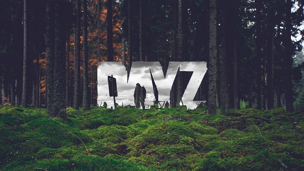 Суровое выживание в DayZ в соло #dayz #стрим #dayzstream #sashkaachannel