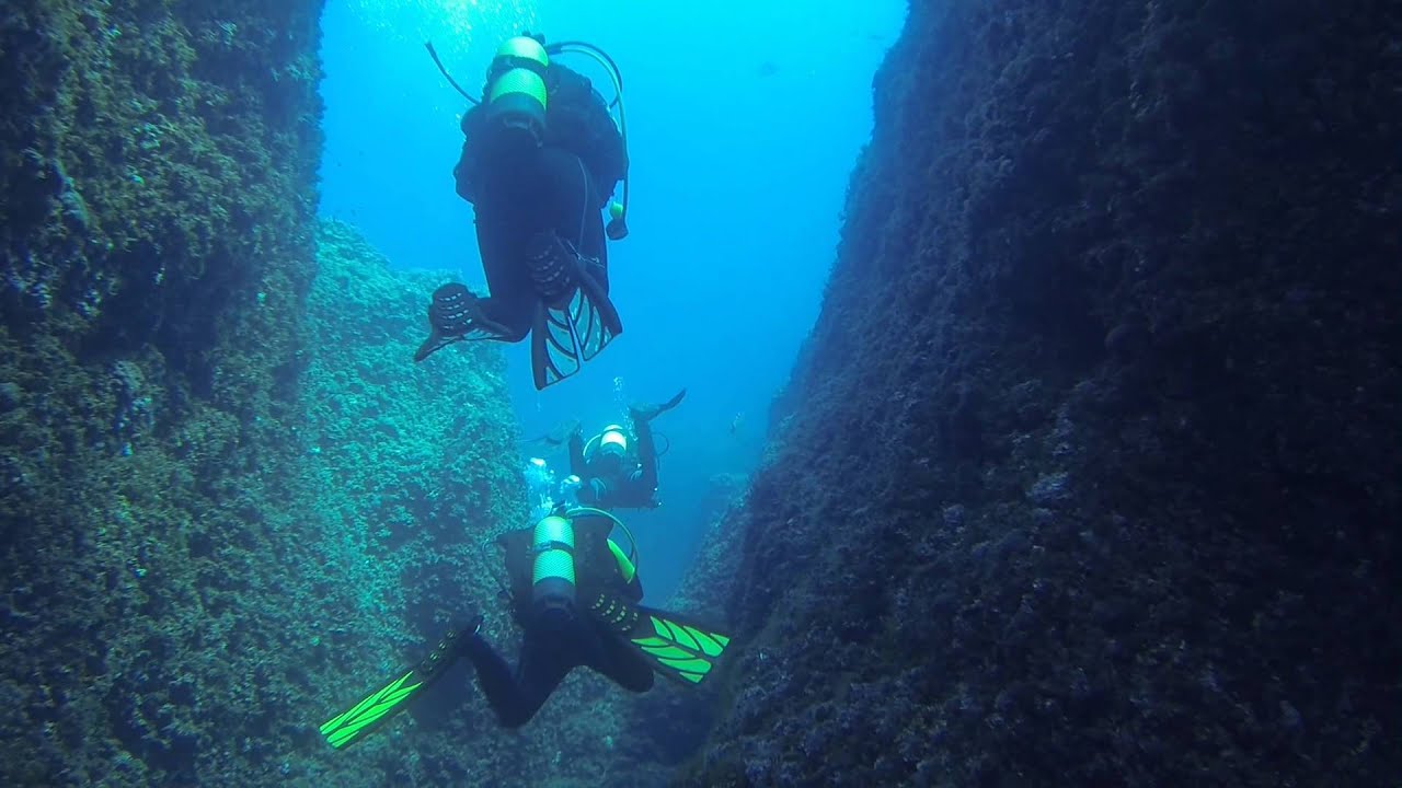 tauchen auf Mallorca - Diving with 