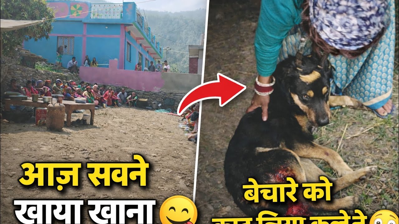 आज सब गांव वालों ने साथ में खाया खाना 😆श्याम को काट दिया बेचारे कूटे को कुत्ते ने 🥲♥️