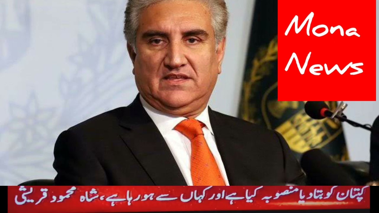 Shah Mehmood Qureshi | MONA NEWS | Kaptan ka tareekhi jalsa