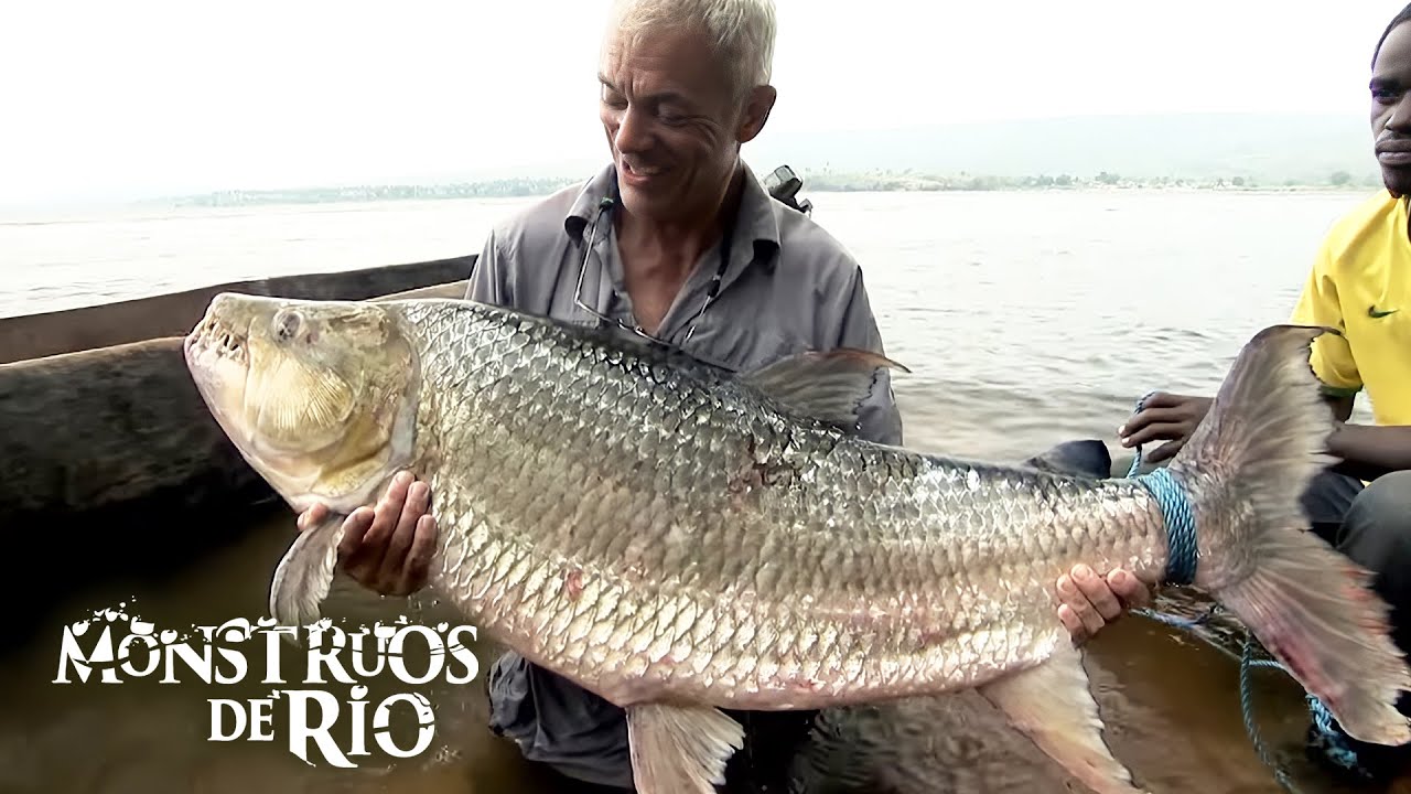 Dos Bestias Letales Del Río | Monstruos de Río