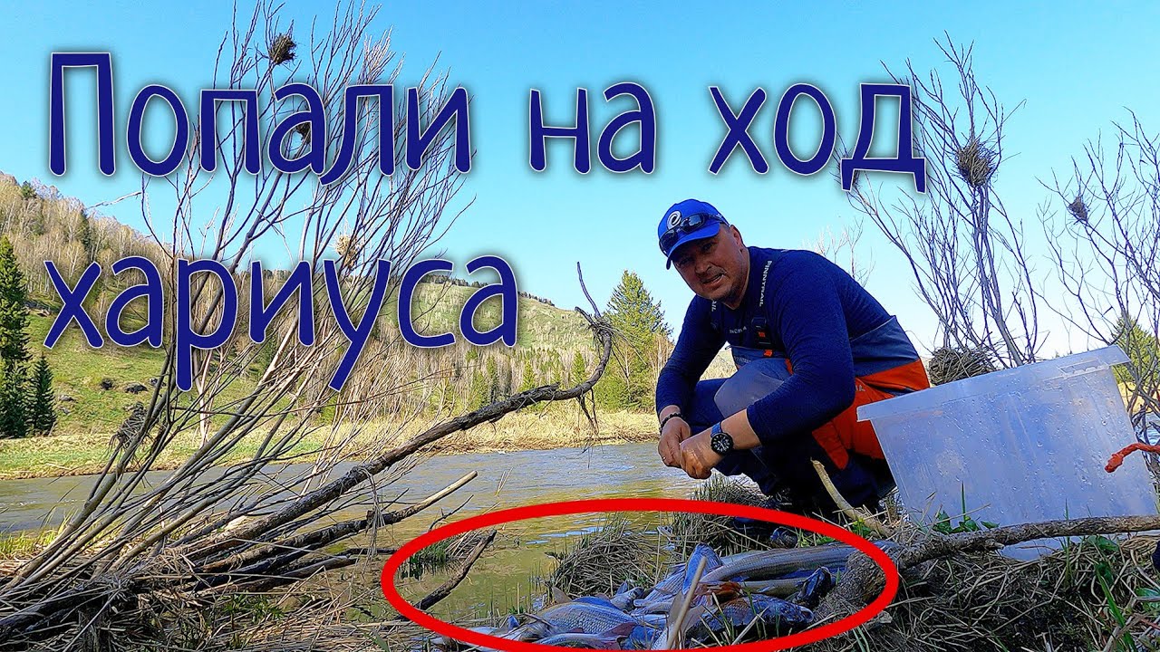 Трофеи забытой реки/Наловили гору рыбы в глухой тайге #1