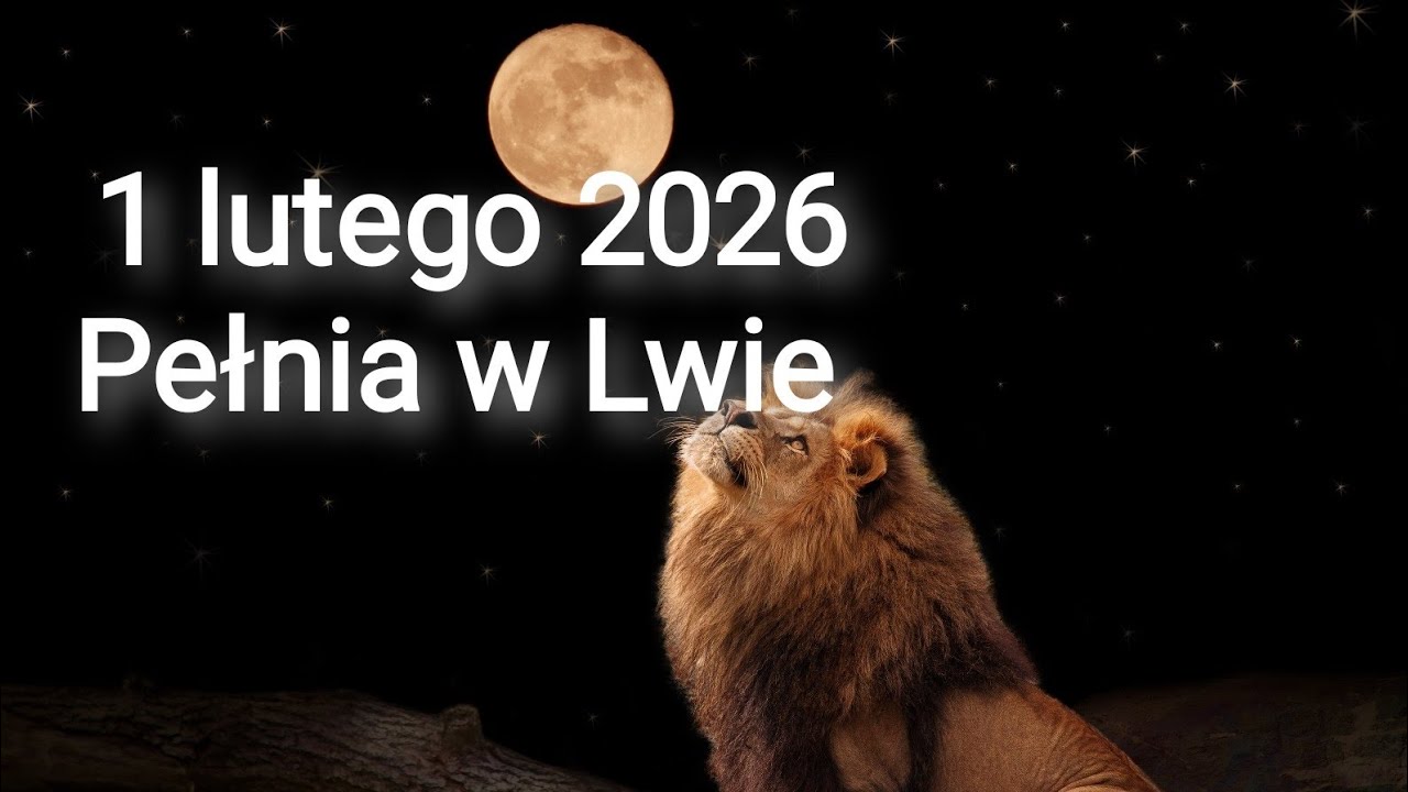 Pełnia w Lwie 1lutego 2026 - Klimat  Ogólny oraz Znaki Zodiaku ♌🎖️🎗️🏓#misstyczka #pełnia 