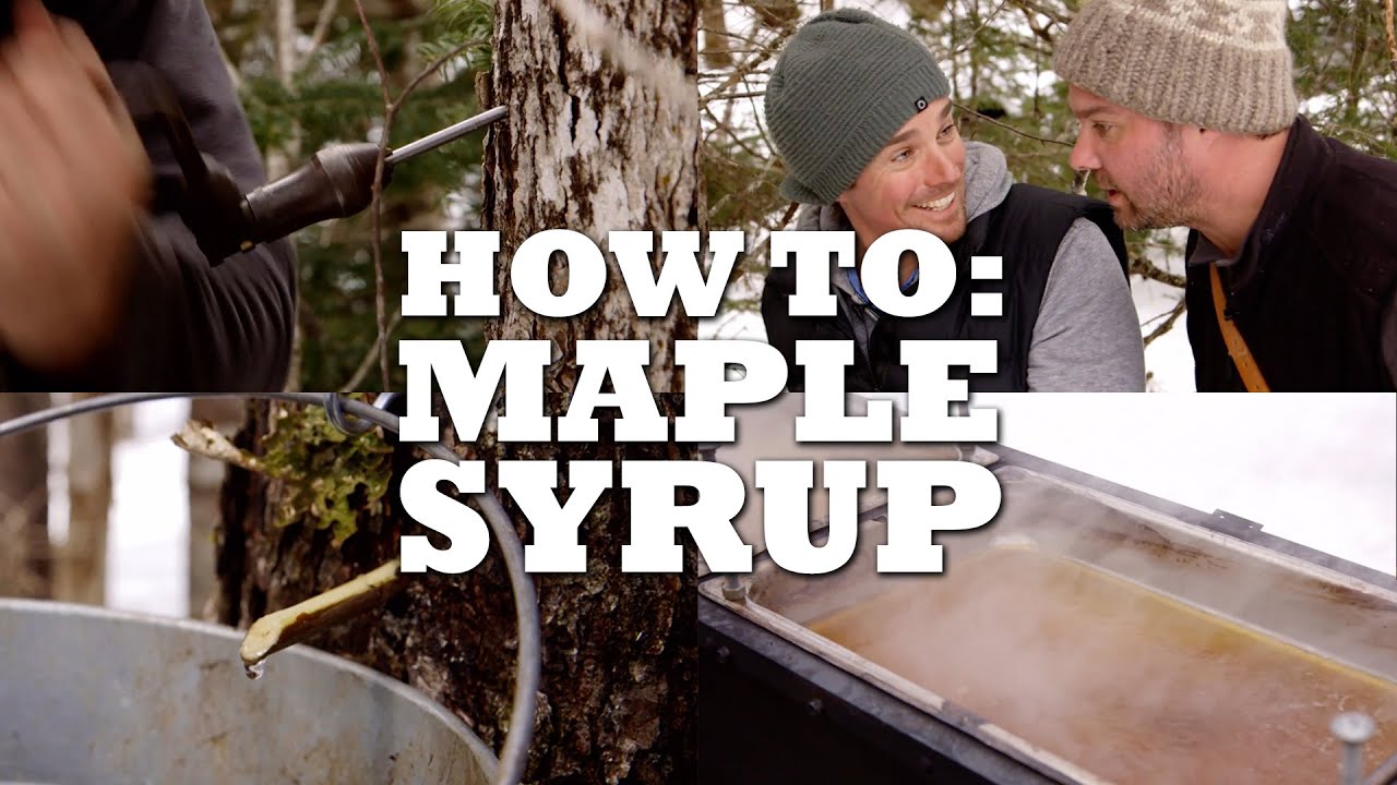 How to Make Maple Syrup