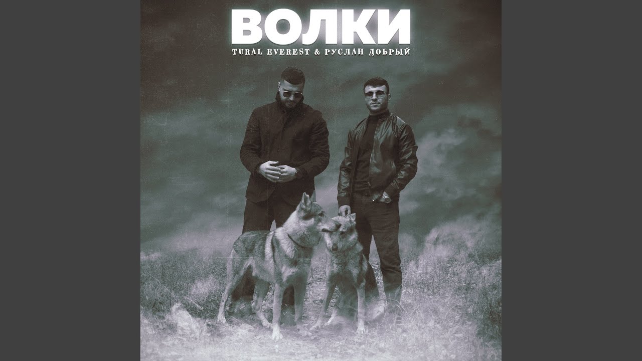 Волки